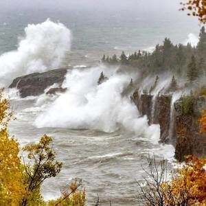 Meet your Posher, Steve